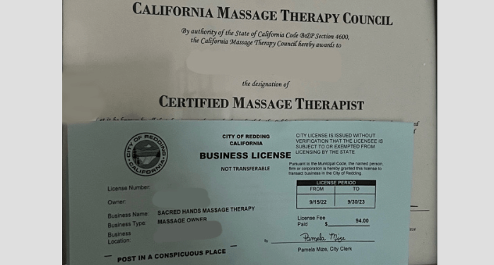 Massage business license